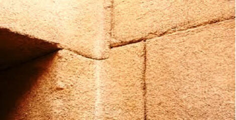 Awakening Community Intelligence: CSA Farms as 21st-Century Cornerstones Image